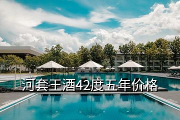 河套王酒42度五年價格