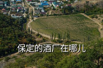 保定的酒廠在哪兒