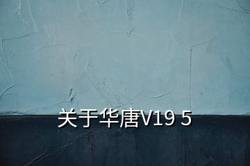 關(guān)于華唐V19 5