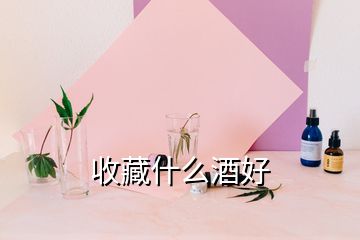 收藏什么酒好