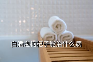 白酒泡枸杞子能治什么病