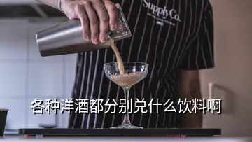 各種洋酒都分別兌什么飲料啊