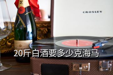 20斤白酒要多少克海馬