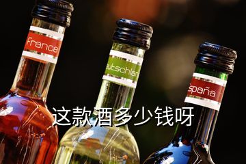 這款酒多少錢呀