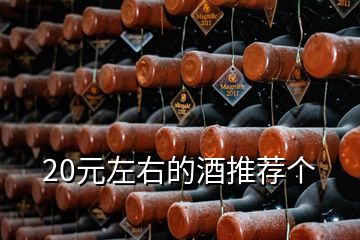 20元左右的酒推薦個