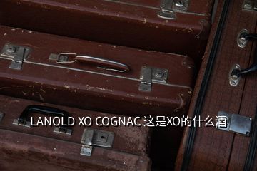 LANOLD XO COGNAC 這是XO的什么酒