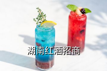 湖南紅酒招商