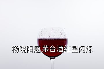 楊曉陽(yáng)題 茅臺(tái)酒紅星閃爍