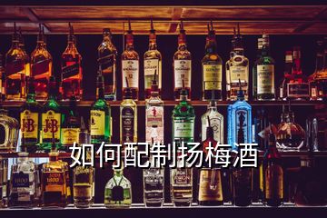 如何配制揚梅酒