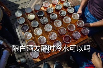 釀白酒發(fā)酵時(shí)冷水可以嗎