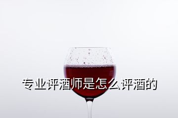 專業(yè)評酒師是怎么評酒的