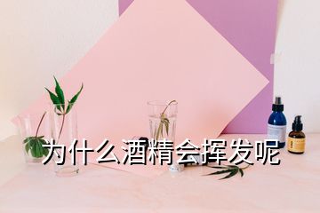 為什么酒精會(huì)揮發(fā)呢