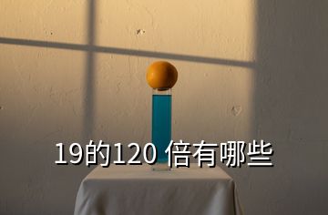 19的120 倍有哪些