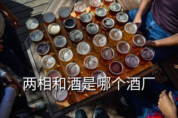 兩相和酒是哪個酒廠