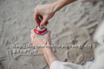 Nanjing Shiny Value Industrial and Trading CoLtd 是南京哪個公司