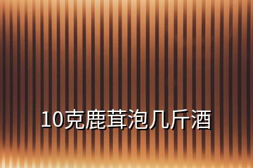 10克鹿茸泡幾斤酒