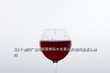 有1個(gè)酒的廣告視頻里面有水車甚么的請(qǐng)問是甚么酒的