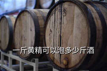 一斤黃精可以泡多少斤酒