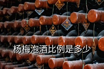 楊梅泡酒比例是多少