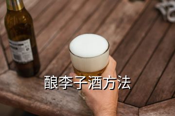 釀李子酒方法