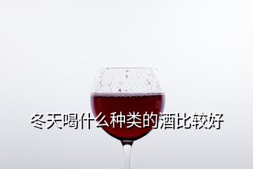 冬天喝什么種類的酒比較好