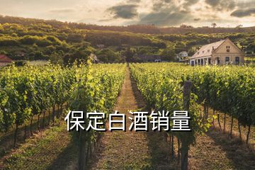 保定白酒銷量