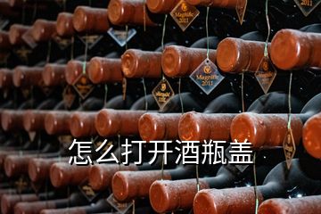 怎么打開酒瓶蓋