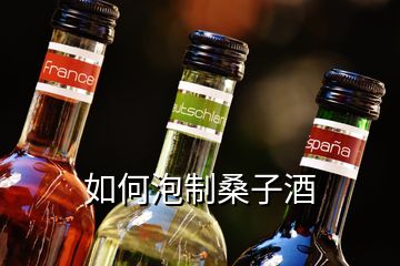 如何泡制桑子酒