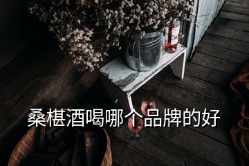 桑椹酒喝哪個品牌的好