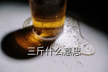 三斤什么意思