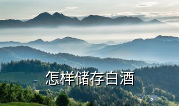 怎樣儲(chǔ)存白酒