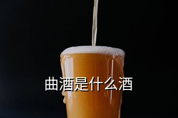 曲酒是什么酒