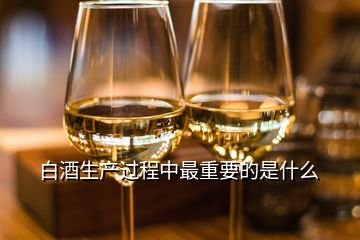 白酒生產(chǎn)過程中最重要的是什么