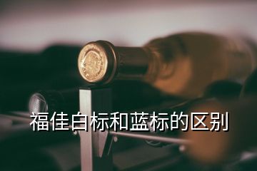 福佳白標(biāo)和藍(lán)標(biāo)的區(qū)別