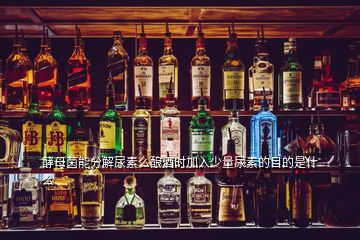 酵母菌能分解尿素么釀酒時(shí)加入少量尿素的目的是什么