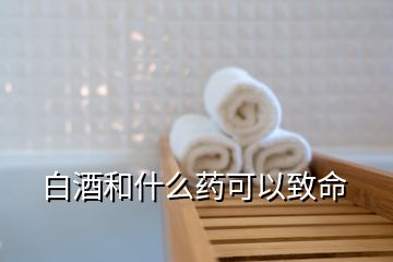 白酒和什么藥可以致命