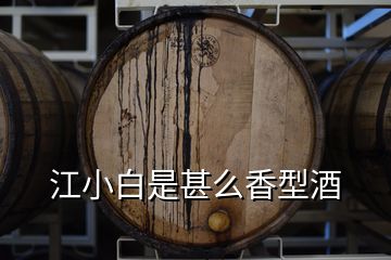 江小白是甚么香型酒