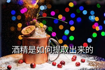 酒精是如何提取出來(lái)的