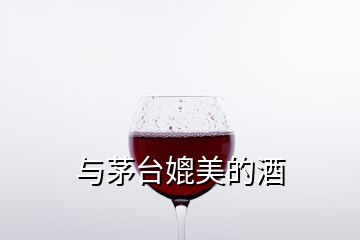 與茅臺媲美的酒