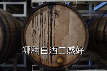 哪種白酒口感好