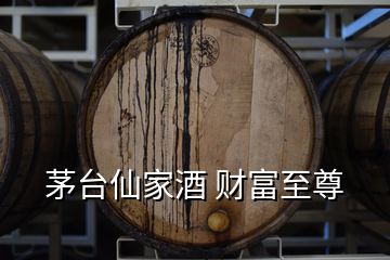 茅臺(tái)仙家酒 財(cái)富至尊