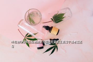 呼和浩特有哪些白酒銷(xiāo)量不錯(cuò)河套蒙古王奧淳寧城老窖還有