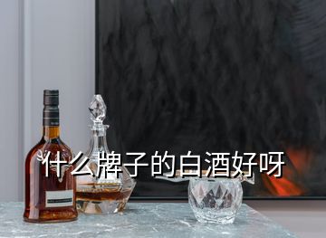 什么牌子的白酒好呀