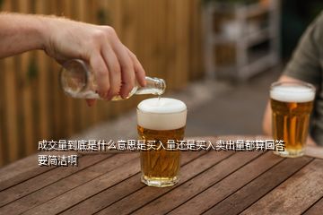 成交量到底是什么意思是買(mǎi)入量還是買(mǎi)入賣(mài)出量都算回答要簡(jiǎn)潔啊