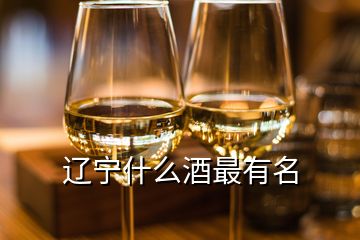 遼寧什么酒最有名