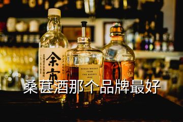 桑葚酒那個品牌最好