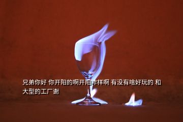 兄弟你好 你開陽(yáng)的啊開陽(yáng)咋樣啊 有沒(méi)有啥好玩的 和大型的工廠謝