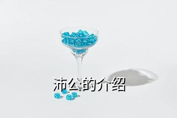 沛公的介紹