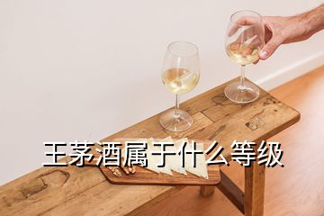 王茅酒屬于什么等級(jí)