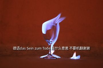 德語(yǔ)das Sein zum Tode 是什么意思 不要機(jī)翻謝謝